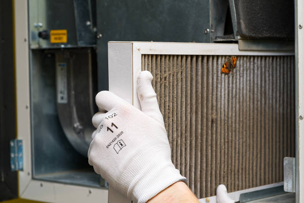 Best Dryer Vent Cleaning Services  in Highland, AR