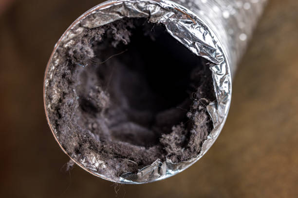 Best Local Air Duct Cleaning Services  in Highland, AR